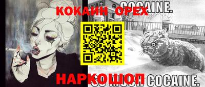 apvp Кингисепп