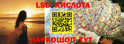 apvp Кингисепп