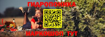 apvp Кингисепп