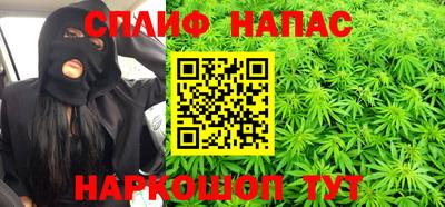 apvp Кингисепп
