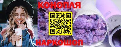 apvp Кингисепп