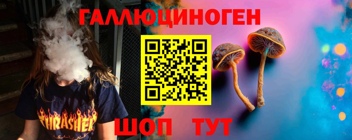 Псилоцибиновые грибы мицелий Электросталь